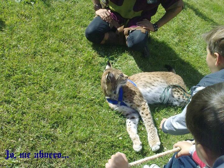 Jornadas medievales en Briones 15 y 16 de junio