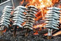 Manilva, Costa del Sol!! Manilva, Costa del Sol!!