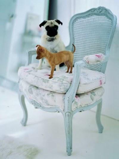 SHABBY CHIC: UN ESTILO CAMPESTRE CON AIRE BRITANICO