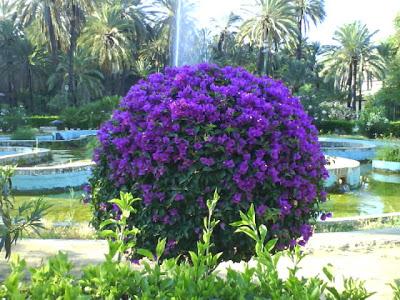 CRÓNICA floridaPor Azulenca Primero de mayo o día del par...