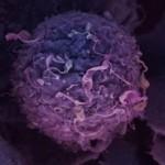 GeneRun: app que ayuda a la investigación sobre el cáncer