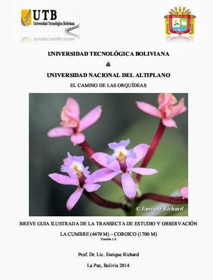 Curso Internacional de Ecología y Conservación – Universidad tecnológica Boliviana y Universidad Nacional del Altiplano (Perú) – 4-7 julio 2013