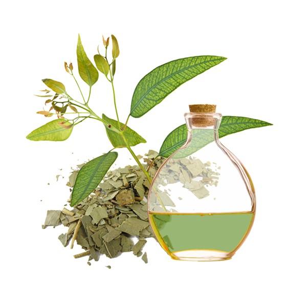 Aceite de eucalipto para la Fibromialgia