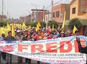 Fredec fortalece…