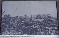 El árbol del cielo que sobrevivió al infierno