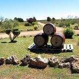 Castilla-La Mancha (3): De Toledo a Ciudad Real por Cabañeros.