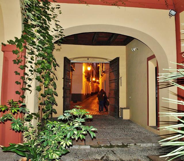 La Casa de los Pinelo (2): el Apeadero.