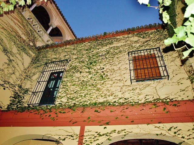 La Casa de los Pinelo (2): el Apeadero.