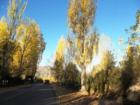 Cabañas en Potrerillos