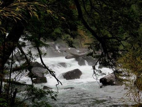 Cascada del Rio Cisne. Parque Nacional Los Alerces