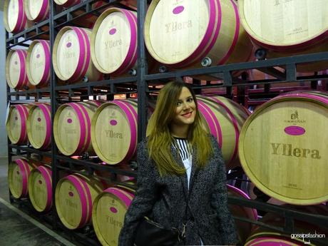 vinos ribera del duero yllera