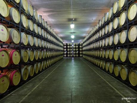 vinos ribera del duero yllera