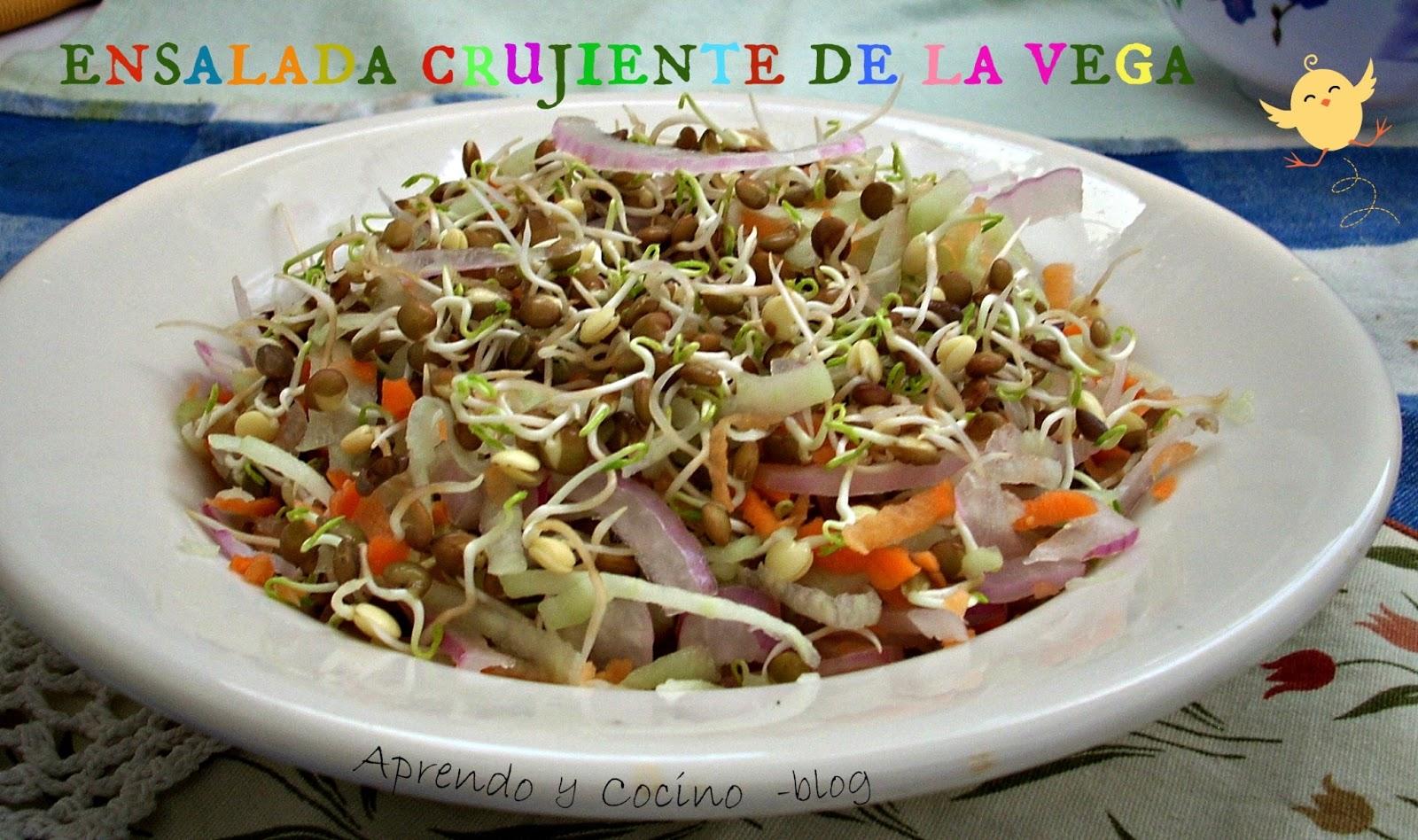 Ensalada Crujiente Colorina y Vegana