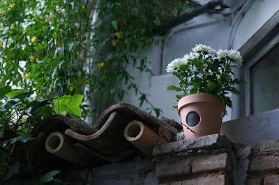 Macetas, Casitas Figuradas