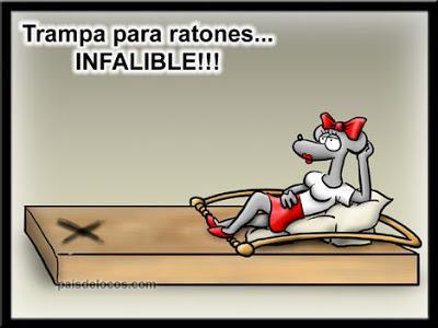 salteado, salteado de setas, recetas originales, recetas caseras, setas, gambas, salteado de gambas, recetas de cocina salteado, salteado de setas, recetas originales, recetas caseras, setas, gambas, salteado de gambas, recetas de cocina