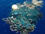 blog coalescencia oscura, explica como realidad, ISLAS BASURA