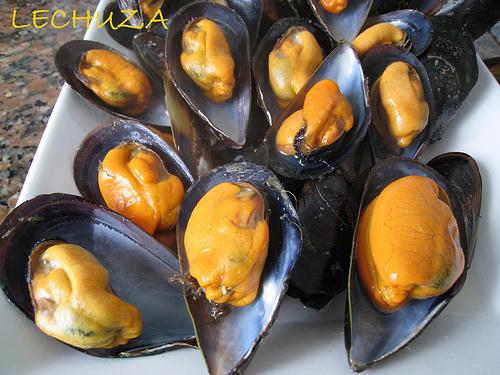 EMPANADA MAÍZ  MEJILLONES (37)