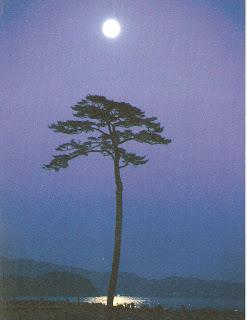 Dos años del tsunami