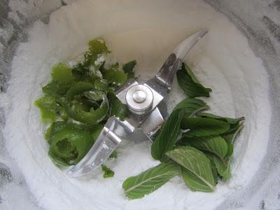 Helado de mojito (Bajo en grasas y sin heladera)