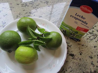 Helado de mojito (Bajo en grasas y sin heladera)