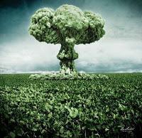 CONO SUR, EL PARAÍSO DE LA SOJA