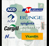 CONO SUR, EL PARAÍSO DE LA SOJA