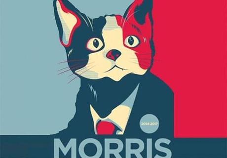 ¿Harto de los políticos? El candiGato Morris es tu solución