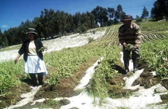 Cortesía: www.diariocorreo.pe