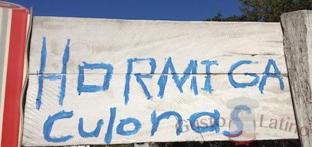 Hormigas culonas anuncio