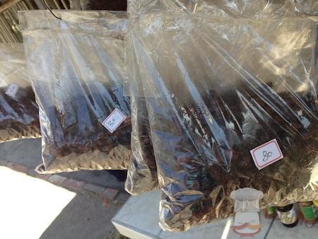 Paquete de hormigas culonas en carreteras colombianas