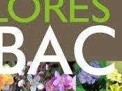 ¿Qué Flores Bach?