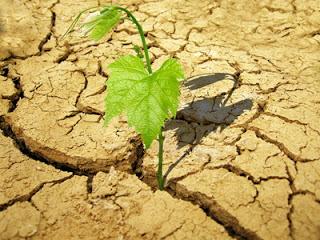 Se  cierra el Observatorio de Sostenibilidad de España