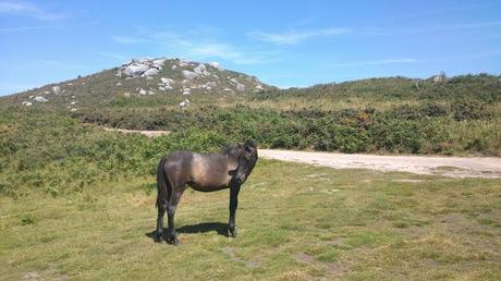Coral y mar Coral y mar