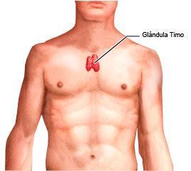 Activación Sexto Disco Solar: la Matriz del Alma, Floreciendo la inocencia