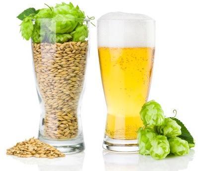 Compuestos de la cerveza podrían servir para nuevos fármacos