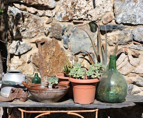 Una visita al pueblo