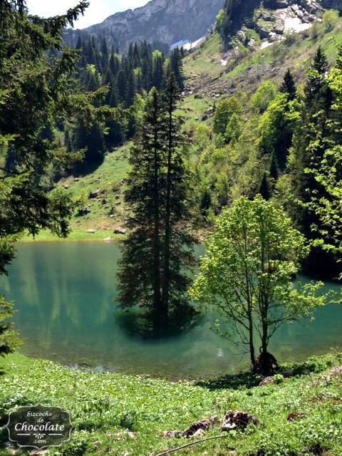 Pastel de Berenjenas para rematar un domingo