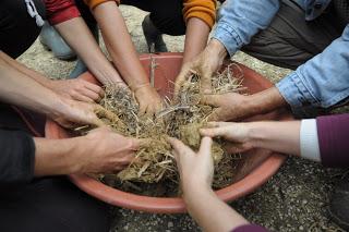 Curso de permacultura urbana en Madrid