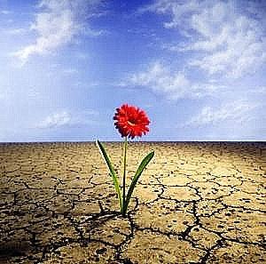 SUPERA LA CRISIS: ACTITUD RESILIENTE.