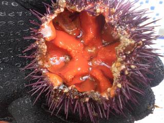 FIDEOS A BANDA CON JIBIA EN SU TINTA