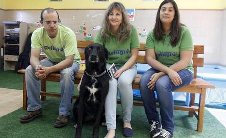El Refugio de animales de Cambados es pionero en Galicia en un nuevo programa de terapia con perros voluntarios junto a bella, en la presentación de ayer g. salg ado