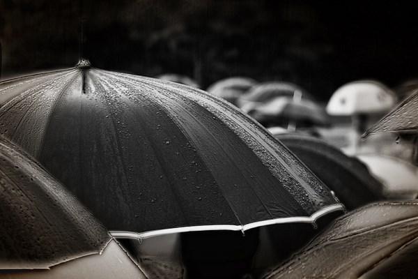 hugo fernandes fotografia