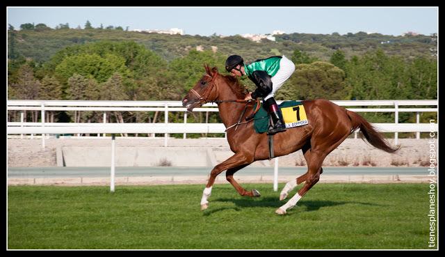 Hipodromo de la Zarzuela