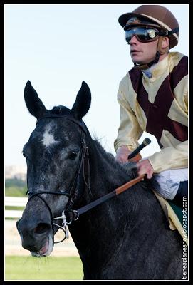 Hipodromo de la Zarzuela