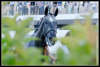 Hipodromo de la Zarzuela