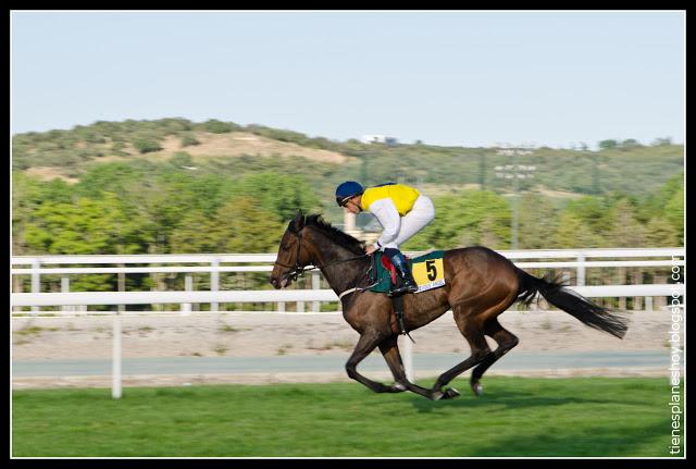 Hipodromo de la Zarzuela