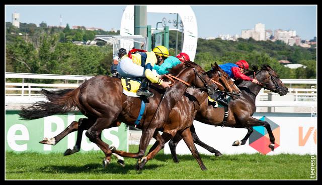 Hipodromo de la Zárzuela