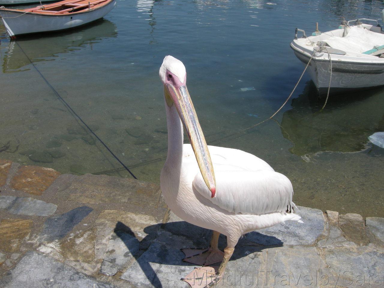 ¿Qué tiene Mikonos que gusta tanto?