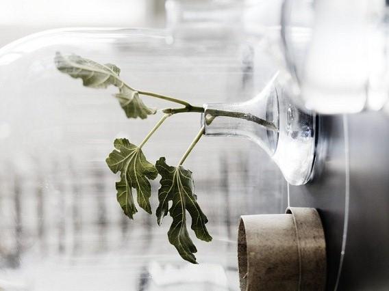 Home inspiration... Flowers!