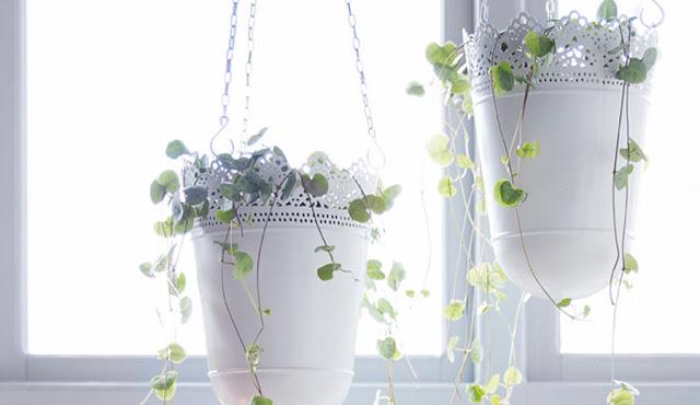 Home inspiration... Flowers!